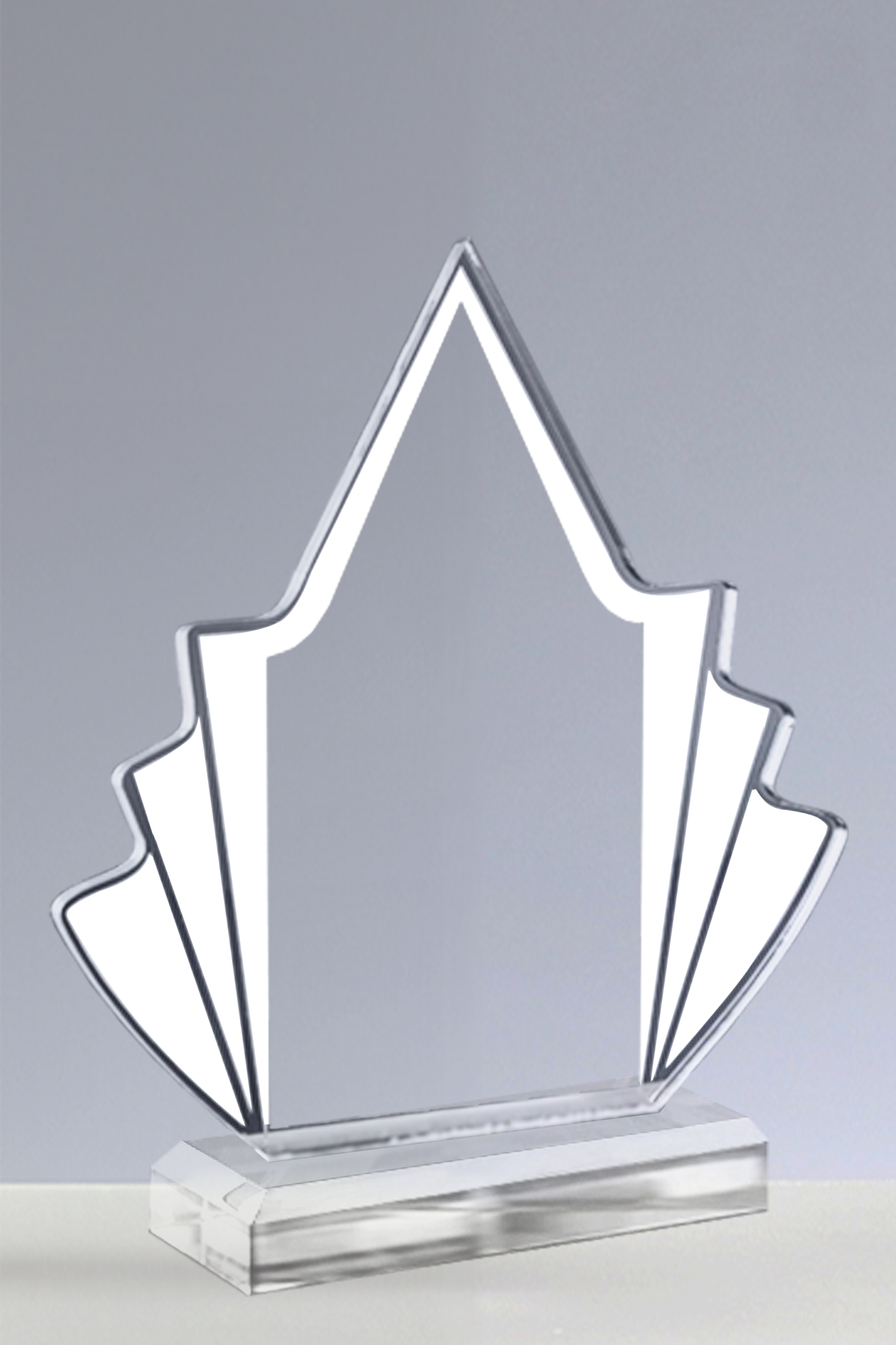 Trofee Personalizate PSW 105